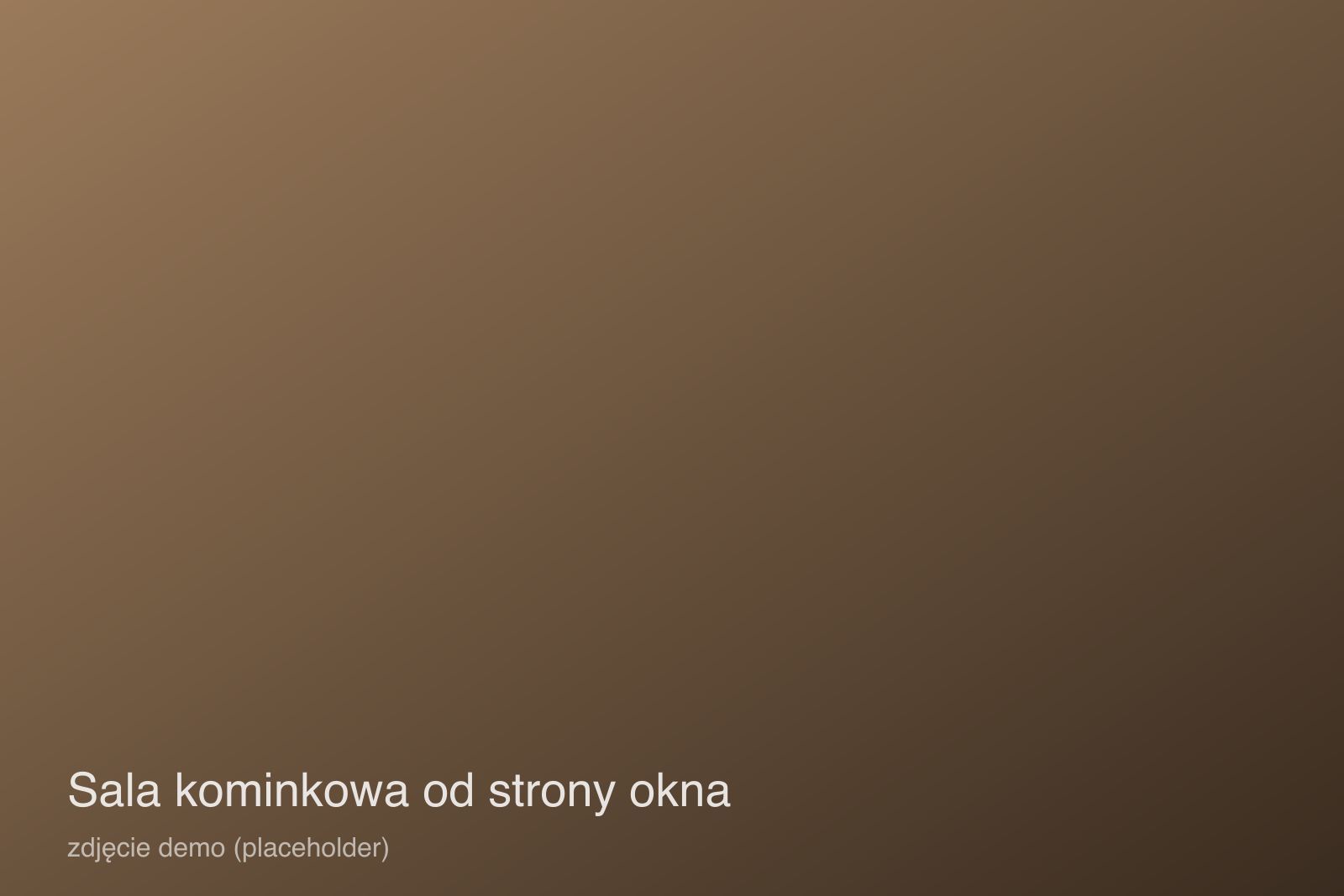 Sala kominkowa widziana od strony okna